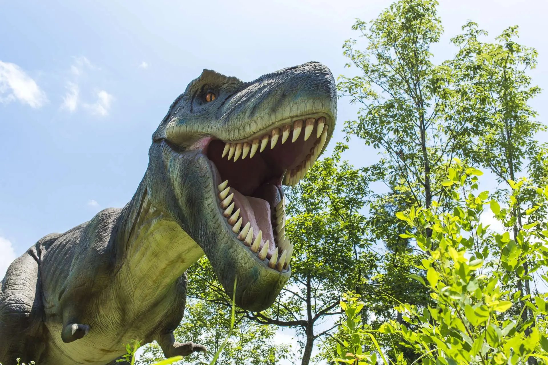 🦕 가쓰야마 공룡 공원(가쓰야마 디노파쿠) 이미지 6